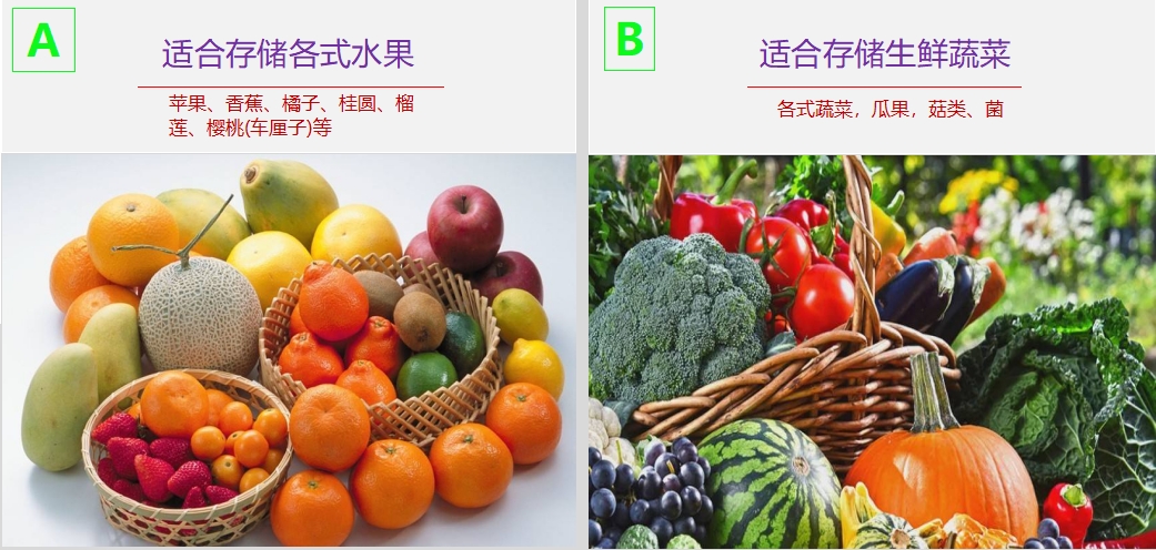 1729678051611573.png 冷藏仓适合存放产品1.png